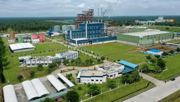 94 WNA Terciduk Kerja Tanpa Izin di KEK Sei Mangkei: Peluang dan Risiko Bisnis