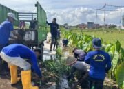 Petugas-Warga Binaan Lapas Purwokerto Bersatu Salurkan Bansos dan Bersihkan Irigasi di Pamijen