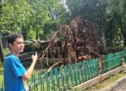 [Pram: Pohon Tumbang di Dharmawangsa, Cuaca Ekstrem Bikin Warga Resah]