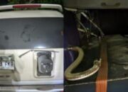 **Pria Ditangkap Polisi atas Dugaan Kecurangan Angkut Solar Subsidi di Mobil Modifikasi, Bogor**