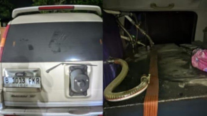 **Pria Ditangkap Polisi atas Dugaan Kecurangan Angkut Solar Subsidi di Mobil Modifikasi, Bogor**