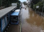Rute TransJakarta Lumpuh, Warga Berjejer di Jalanan!