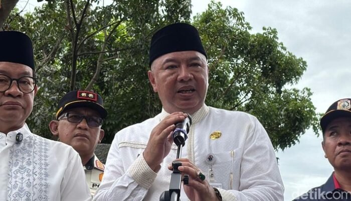 62.161 Pohon Dipangkas di DKI, Distamhut Antisipasi Pohon Tumbang