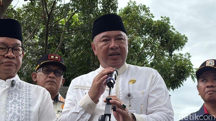 62.161 Pohon Dipangkas di DKI, Distamhut Antisipasi Pohon Tumbang