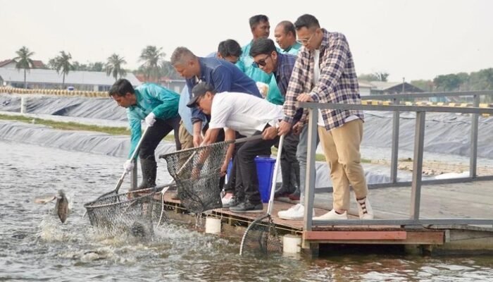 Menteri KKP dan Raffi Cs ke BINS, Ajak Pemuda Tekuni Budidaya Perikanan: Solusi Alternatif untuk Generasi Muda saat Ini
