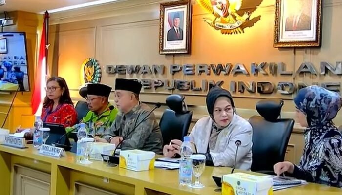 **Wakil Ketua DPD: Dana Daerah Jadi Perhatian, Menkeu Purbaya Berikan Respons**