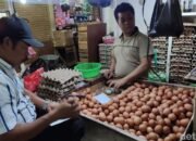 Ayam & Telur: Kunci Inflasi Oktober 2025