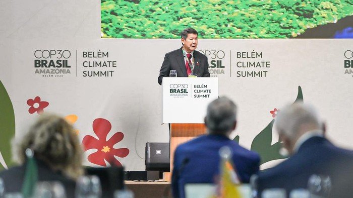 RI Gelontorkan Rp 16,7 T, Apakah Cukup untuk Pulihkan Hutan Rusak di Tropis?