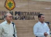 Danantara Gelontor Rp 20 Triliun, Peternakan Ayam Siap Menerjang Pasar Global!