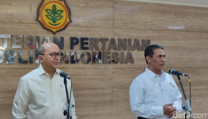 Danantara Gelontor Rp 20 Triliun, Peternakan Ayam Siap Menerjang Pasar Global!