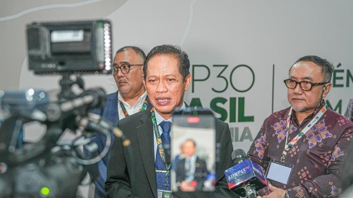 Rp 16 Triliun dari Konferensi Iklim Brasil, Target Indonesia yang Menjanjikan!