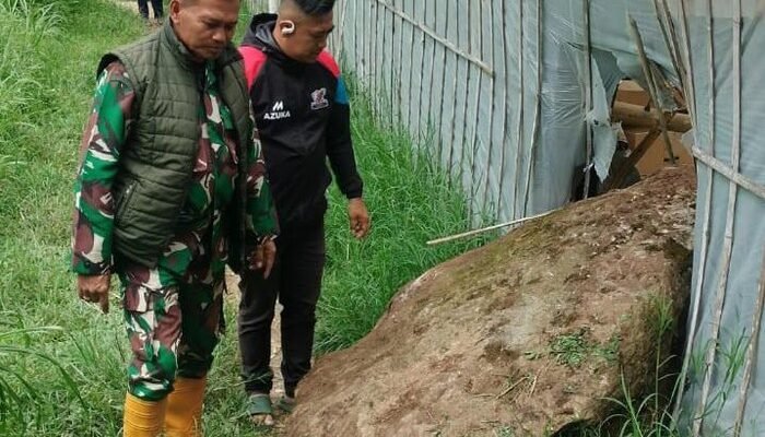 Heboh! 3 Batu Raksasa Jatuh dari Gunung Batu, Hantam Greenhouse Warga Lembang