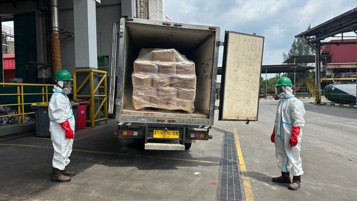 5,7 Ton Udang Beracun Dimusnahkan, Apa Dampaknya bagi Industri?