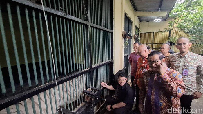 Pramono Cek Isu Pakan Harimau Ragunan, Hasilnya Mengejutkan!
