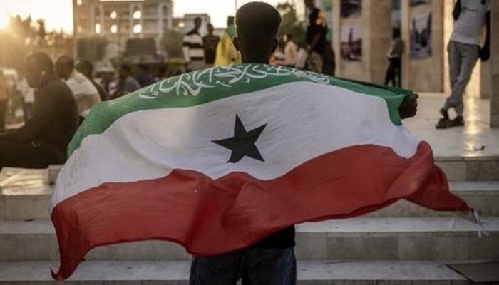 Sejumlah Negara Afrika-Timur Tengah Tolak Pengakuan Israel Atas Somaliland: Konfrontasi Ekspansi atau Solidaritas Pada Konflik?