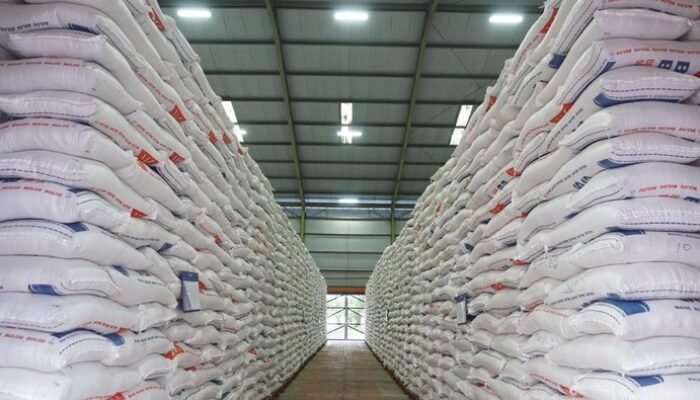 Produksi Beras RI 2025 Tembus 34,69 Juta Ton, Naik 13,29% di Tengah Krisis Pangan Global