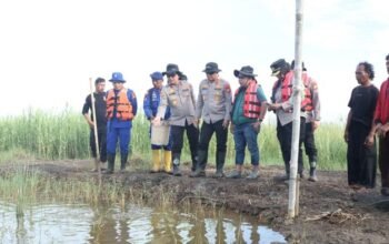 Dukung Ketahanan Pangan, Polda Metro Periksa Tambak Udang di Muara Gembong