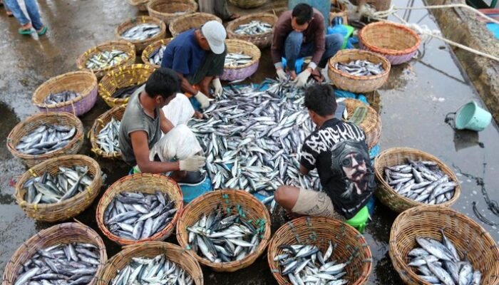 Ikan Tersedia! Trenggono Pastikan Stok 3,57 Juta Ton Aman Sebelum Ramadan