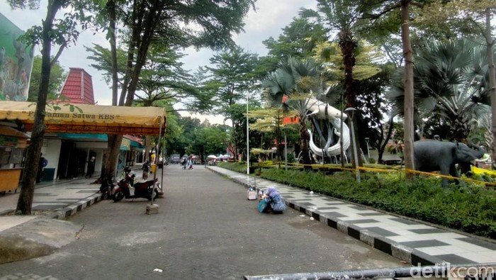 Kejati Jatim Geledah Kebun Binatang Surabaya Terkait Dugaan Korupsi - Update 1