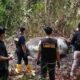 Gajah Sumatera Ditemukan Tewas Mengerikan di Riau, Perburuan Liar Diduga sebagai Penyebab