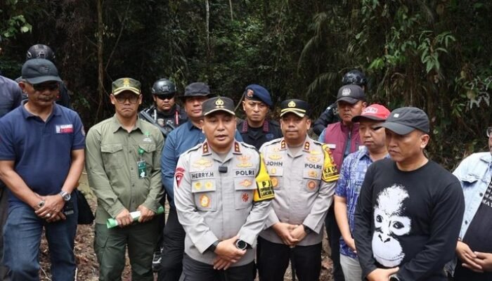 Kapolda Riau: Tidak Ada Ampun bagi Pembunuh Gajah, Kita Cari!