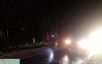 Tebing di Ngantang Longsor, Akses Malang-Kediri Terancam Tutup!