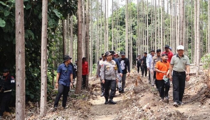 “7 Langkah Pemerintah Usut Kematian Gajah Tanpa Gading dan Kepala: Investigasi Kriminal Teror di Hutan”