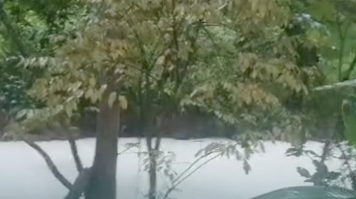 Kebakaran Pabrik Pestisida di Tangsel, Sungai Berubah Putih, Ikan Mati Massal