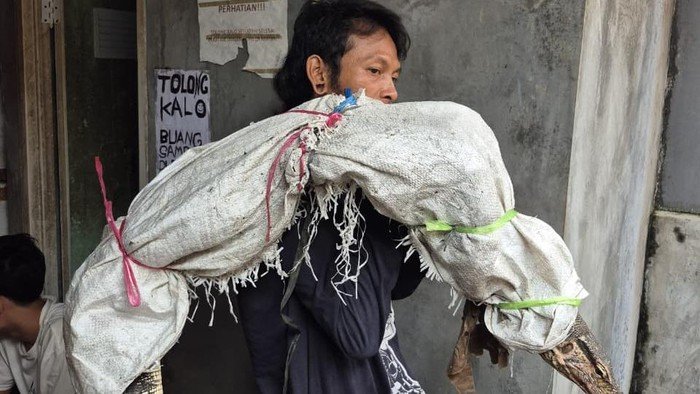 Niat Pria di Jakbar Jual Biawak Berujung Viral Dikira Panggul Mayat, Ketahuan Ternyata Begini!