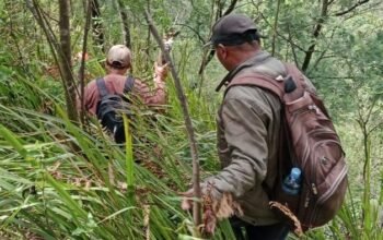 Hilang 24 Hari, Pendaki Yasid Ahmad Ditemukan Tewas di Bukit Mongkrang, Misteri yang Menyedihkan!