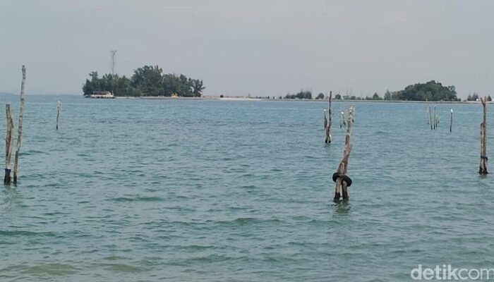 “Banjir Rob Siaga, Waspada! Pesisir RI Akan Dilanda 12-19 Februari”