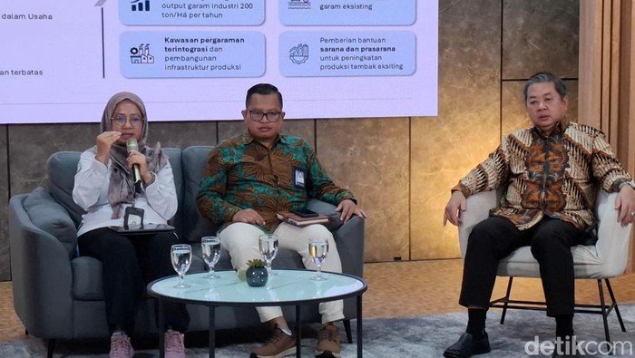 Swasta Garap 10.444 Ha Tambak Garam Raksasa di Rote Ndao, Transformasi Ekonomi atau Ancaman Lingkungan?