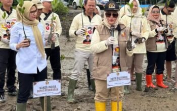 Peringati HUT Partai, Legislator Gerindra Tanam 1.000 Mangrove Sebagai Komitmen Hijau