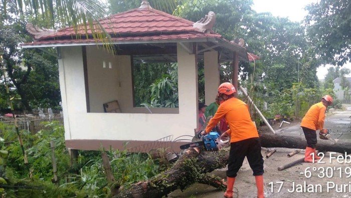 Banjir Hujan Angin di Bogor, 3 Rumah di Cibinong Tertimpa Pohon