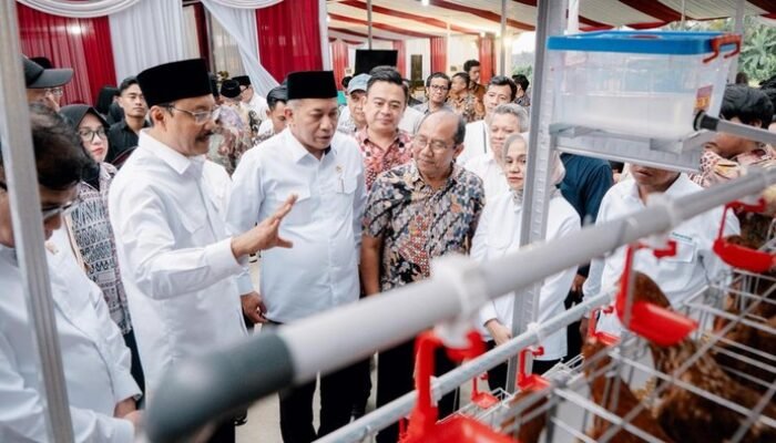 **Kemensos Serahkan Bantuan Ayam Petelur untuk KPM, Dukung Kemandirian Ekonomi di Desa**