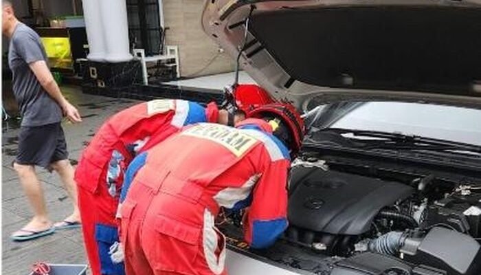 Sanca Albino Warga Jaktim Menghilang, Ternyata Ngumpet di Kap Mobil, Masyarakat Heboh!