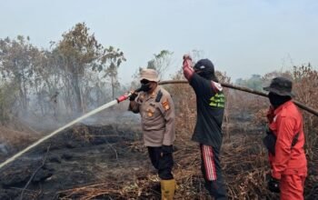 Polisi-TNI Berjibaku Padamkan Api, 10 Hektare Lahan di Bengkalis Terancam