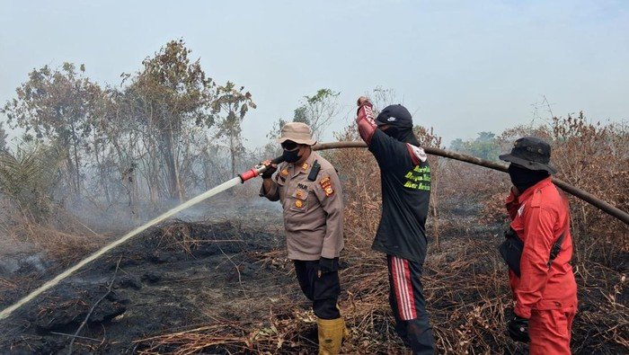 Polisi-TNI Berjibaku Padamkan Api, 10 Hektare Lahan di Bengkalis Terancam
