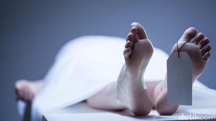 Truk Kontainer Timpa Mobil, 3 Orang Tewas di Karawang: Insiden Maut yang Menyedihkan