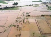 **Pemerintah Gelontorkan Rp 336 Miliar, Revitalisasi Sawah di Sumatera Berpotensi Jadi Investasi Menjanjikan**