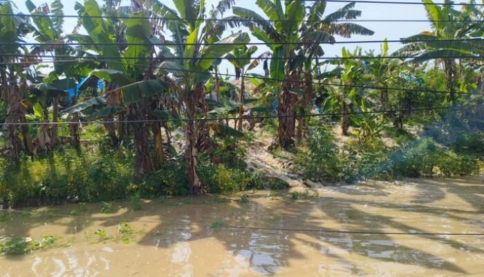34 Desa di Grobogan Jateng Dilanda Banjir, 5.214 Keluarga Rela Berjuang melawan Air