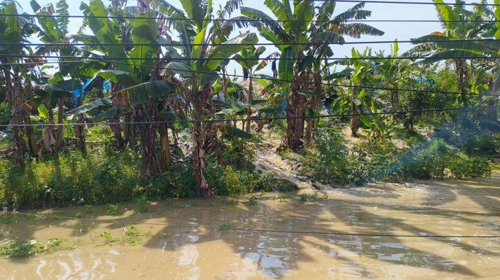 34 Desa di Grobogan Jateng Dilanda Banjir, 5.214 Keluarga Rela Berjuang melawan Air