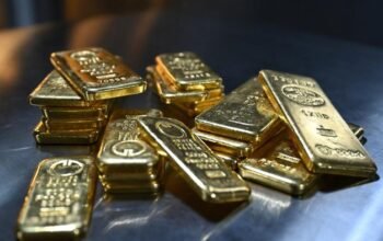 “Demam Emas Menyapu Negara, Warga Gali Tanah dengan Kapak demi Impian Kekayaan”