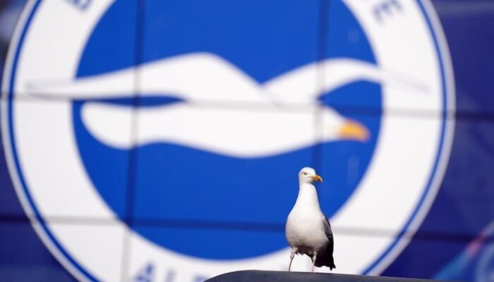 Viral Pemain Mevlanakapi Selamatkan Burung Camar dari Bola Kiper Yurdum, Bikin Haru!