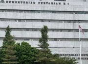 Arab Saudi Larang Impor Ayam dan Telur RI, Kementan Buka Suara – Update 1