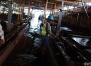 India dan AS Bersaing Garap Harta Karun RI, Siapa yang Menang?