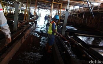 India dan AS Bersaing Garap Harta Karun RI, Siapa yang Menang?