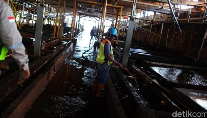 India dan AS Bersaing Garap Harta Karun RI, Siapa yang Menang?