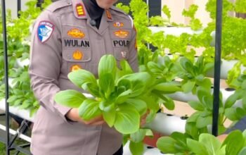 **Green Policing di Riau: Polantas Kampar Sulap Kantor Jadi Kebun Hidroponik**