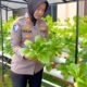 **Green Policing di Riau: Polantas Kampar Sulap Kantor Jadi Kebun Hidroponik**
